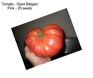 Tomato - Giant Belgian Pink - 25 seeds