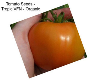 Tomato Seeds - Tropic VFN - Organic