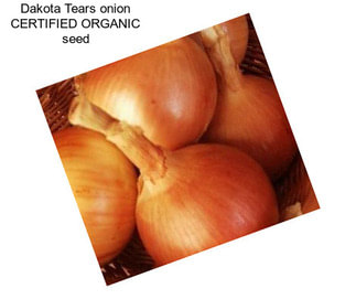 Dakota Tears onion CERTIFIED ORGANIC seed