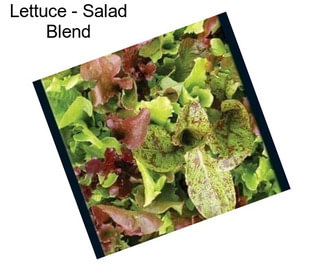 Lettuce - Salad Blend