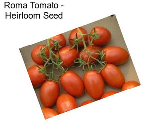 Roma Tomato - Heirloom Seed