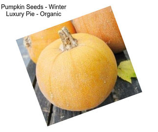 Pumpkin Seeds - Winter Luxury Pie - Organic