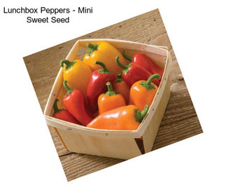 Lunchbox Peppers - Mini Sweet Seed