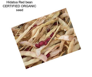Hidatsa Red bean CERTIFIED ORGANIC seed