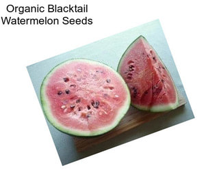 Organic Blacktail Watermelon Seeds
