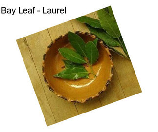 Bay Leaf - Laurel