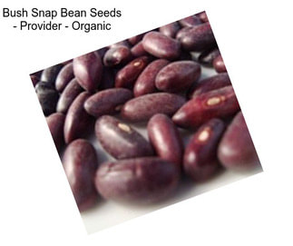 Bush Snap Bean Seeds - Provider - Organic