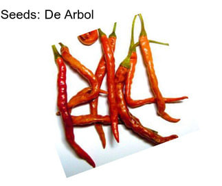 Seeds: De Arbol