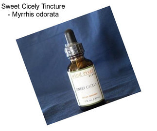 Sweet Cicely Tincture - Myrrhis odorata