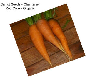 Carrot Seeds - Chantenay Red Core - Organic