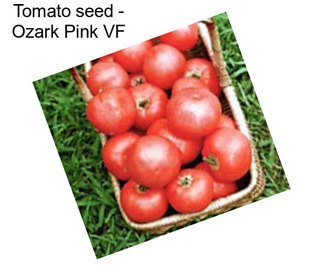 Tomato seed - Ozark Pink VF