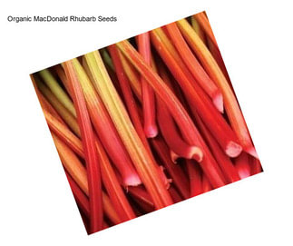 Organic MacDonald Rhubarb Seeds