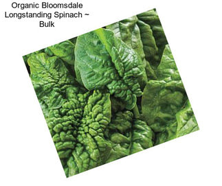 Organic Bloomsdale Longstanding Spinach ~ Bulk