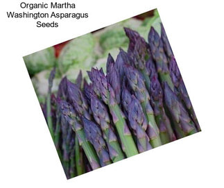 Organic Martha Washington Asparagus Seeds