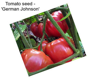 Tomato seed - \'German Johnson\'