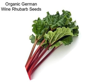 Organic German Wine Rhubarb Seeds
