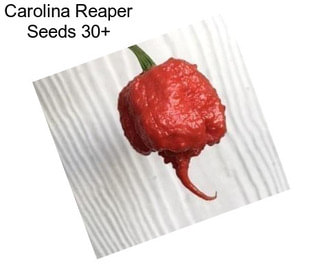 Carolina Reaper Seeds 30+