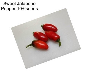 Sweet Jalapeno Pepper 10+ seeds