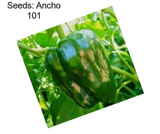 Seeds: Ancho 101