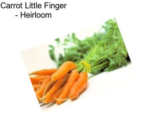 Carrot Little Finger - Heirloom