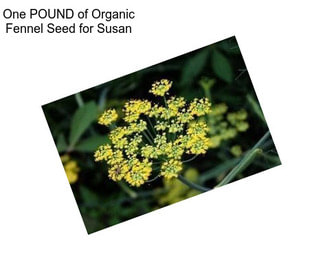 One POUND of Organic Fennel Seed for Susan