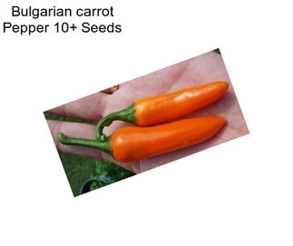 Bulgarian carrot Pepper 10+ Seeds