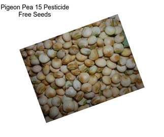 Pigeon Pea 15 Pesticide Free Seeds