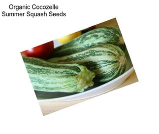 Organic Cocozelle Summer Squash Seeds