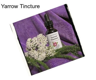 Yarrow Tincture