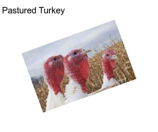 Pastured Turkey
