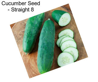 Cucumber Seed - Straight 8