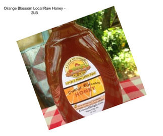 Orange Blossom Local Raw Honey - 2LB