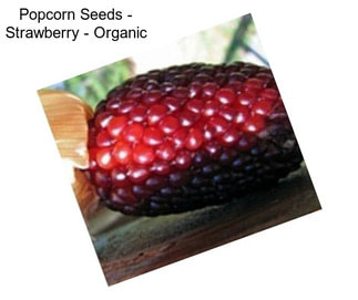 Popcorn Seeds - Strawberry - Organic