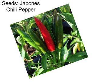 Seeds: Japones Chili Pepper