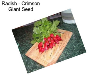 Radish - Crimson Giant Seed