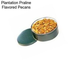 Plantation Praline Flavored Pecans