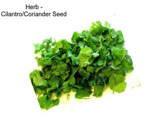 Herb - Cilantro/Coriander Seed