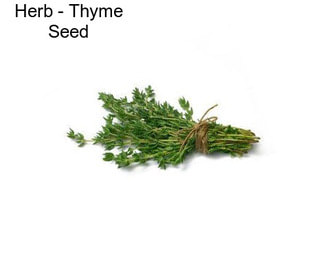 Herb - Thyme Seed