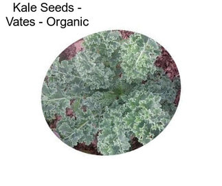 Kale Seeds - Vates - Organic