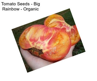 Tomato Seeds - Big Rainbow - Organic