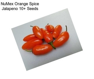 NuMex Orange Spice Jalapeno 10+ Seeds