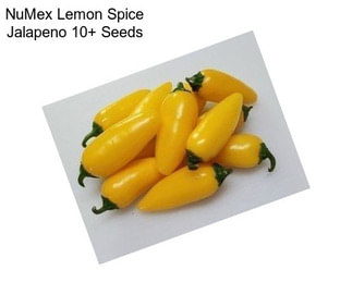 NuMex Lemon Spice Jalapeno 10+ Seeds