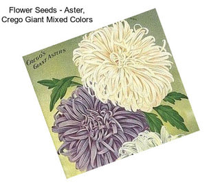 Flower Seeds - Aster, Crego Giant Mixed Colors