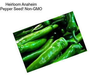 Heirloom Anaheim Pepper Seed! Non-GMO