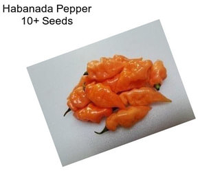 Habanada Pepper 10+ Seeds