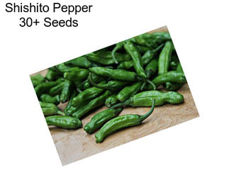 Shishito Pepper 30+ Seeds