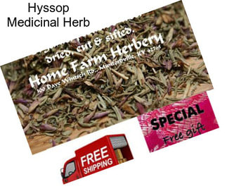 Hyssop Medicinal Herb