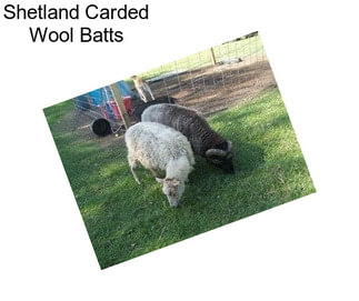 Shetland Carded Wool Batts