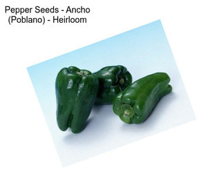 Pepper Seeds - Ancho (Poblano) - Heirloom