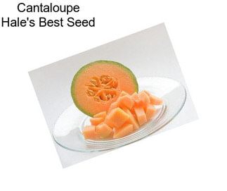 Cantaloupe Hale\'s Best Seed